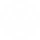 Zowag Logo Ai File_ZOWAG SIMBOL WH.png