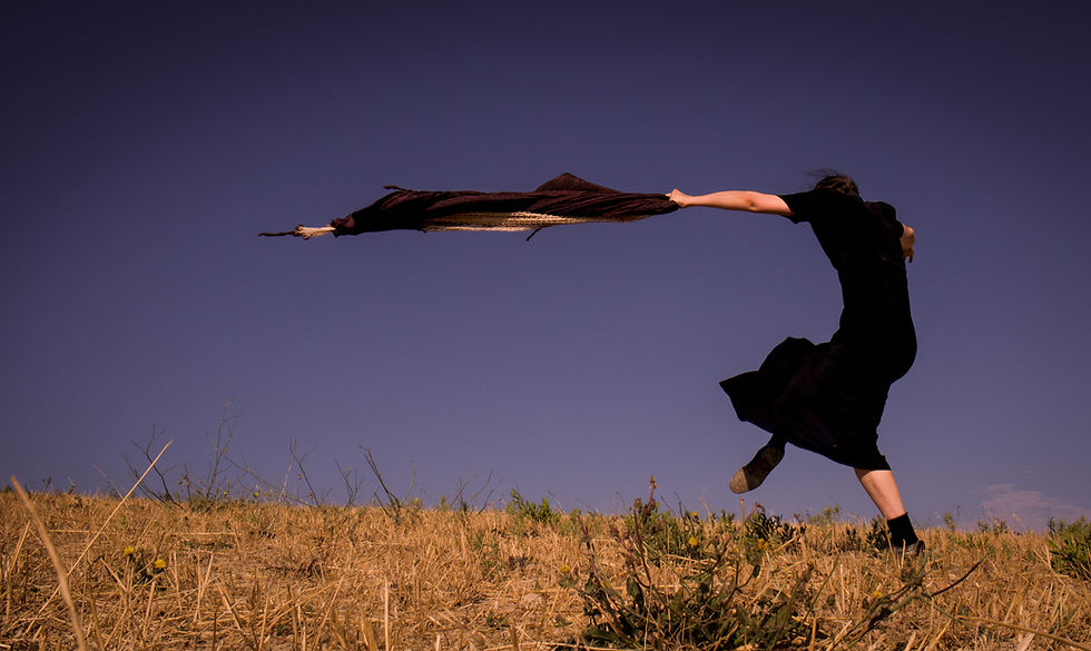 Artistic residency performances "interconnections" 2020