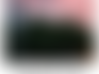 Mesquite Nevada Stake Conference