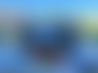 Fun Time at the Young Single Adults LUAU