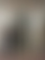 New Vistas Ward, East Stake Bishopric