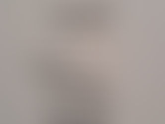 West & East Stake Meeting Schedules