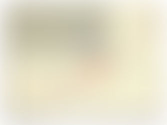 Mesquite NV Stake Map