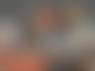 Virgin Valley History and Discovery Days