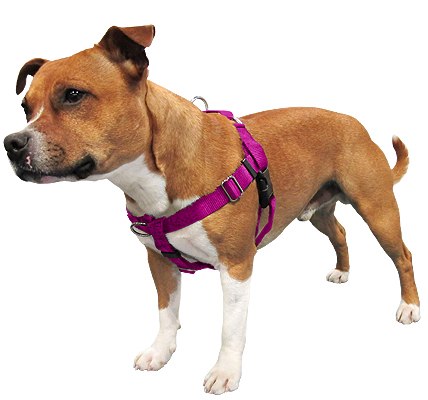 shoulder strap dog leash
