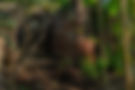 DLC00577.jpg