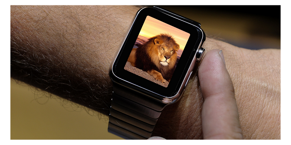 Apple watch with lion on screen