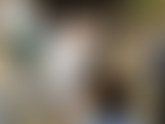 Presidente alemán conoció Corales del Rosario y San Bernardo en Cartagena