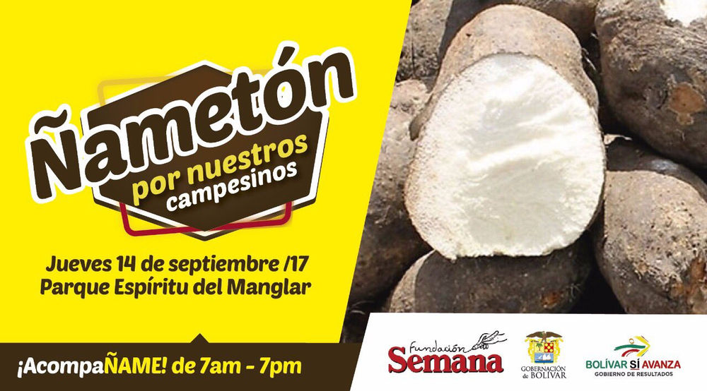 Productores de ñame logran apoyo a