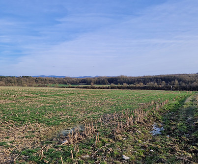 20250320_172744.jpg