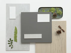 Scout-palette1__5765_0005_Layer Comp 6.jpeg