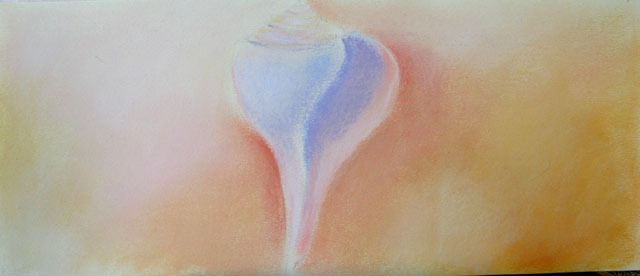 FIG-SEASHELL.jpg