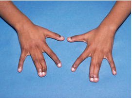 Fig. 5.png