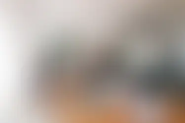 What is Field Marketing