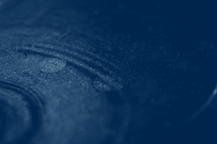 Duotone Effect-IS07.png