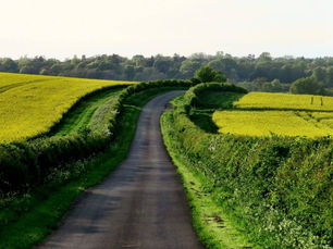 Moving Toward and Away