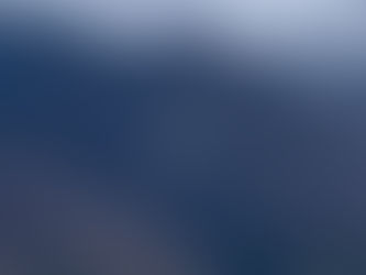 A conversation with Mary oliver's poem, Terns