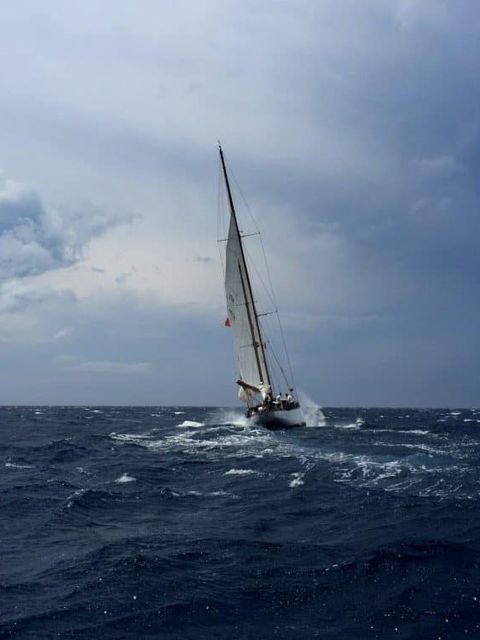 white sailboat on body of water