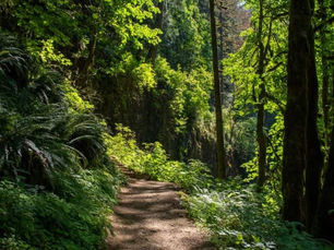 In the Shadow of Grace