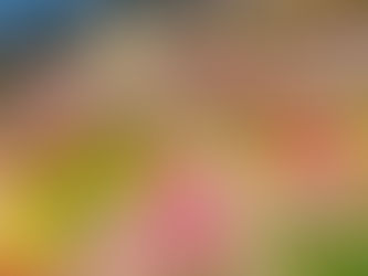 Lent is not a Season