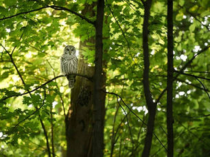 And then what happened?