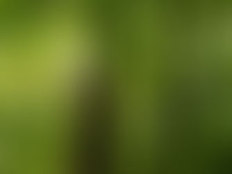 And then what happened?