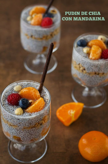 pudin chia