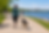 Dog owner enjoying a calm walk after positive reinforcement training