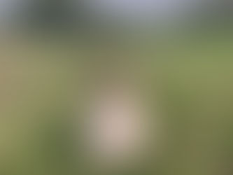 Zo Ziet Een Postnatale Depressie Er In Mijn Geval Uit