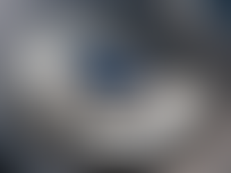 Expert Security Services for Events in England