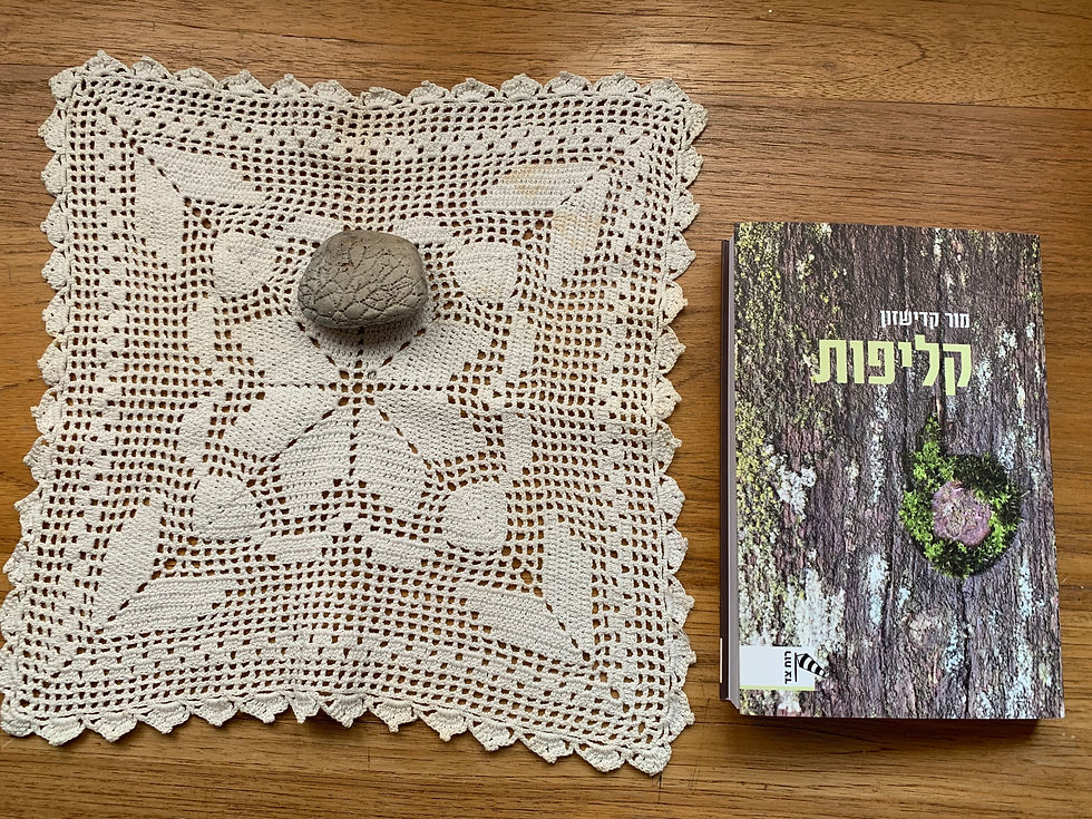 השקה לספר חדש: קליפות
