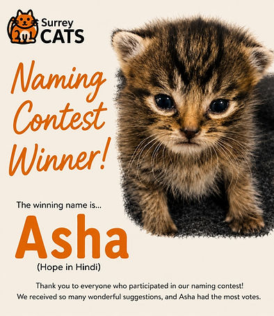 Contest winner .jpg