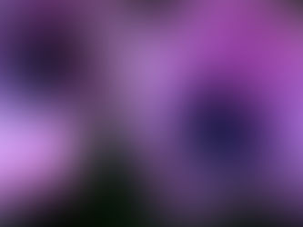 Is Homeopathy Real? Myths and Misconceptions Debunked