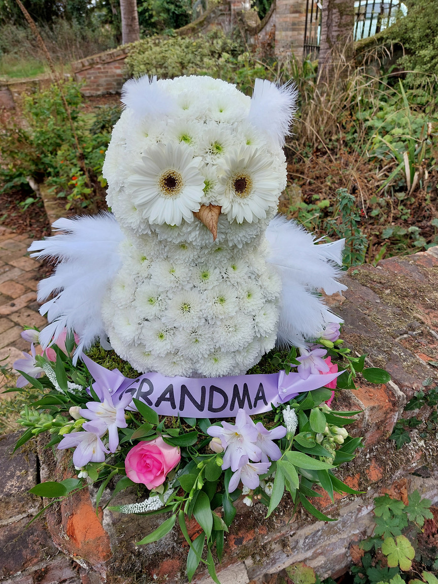 Owl tribute.jpg