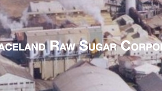 Sweet Success, Delivered Right on Time