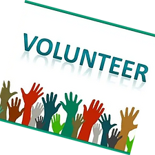 Pasted Graphic 5.png