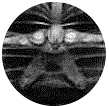 Juneteenth-Symbol.webp