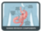SLIMMS Revision Components