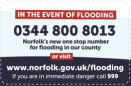 Small Floodline flash.jpeg