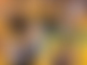 JOCジュニアオリンピックカップ 第15回全日本ジュニアテコンドー選手権大会 試合結果