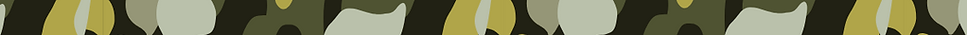 valor banner (1890 x 338 px) (5).png
