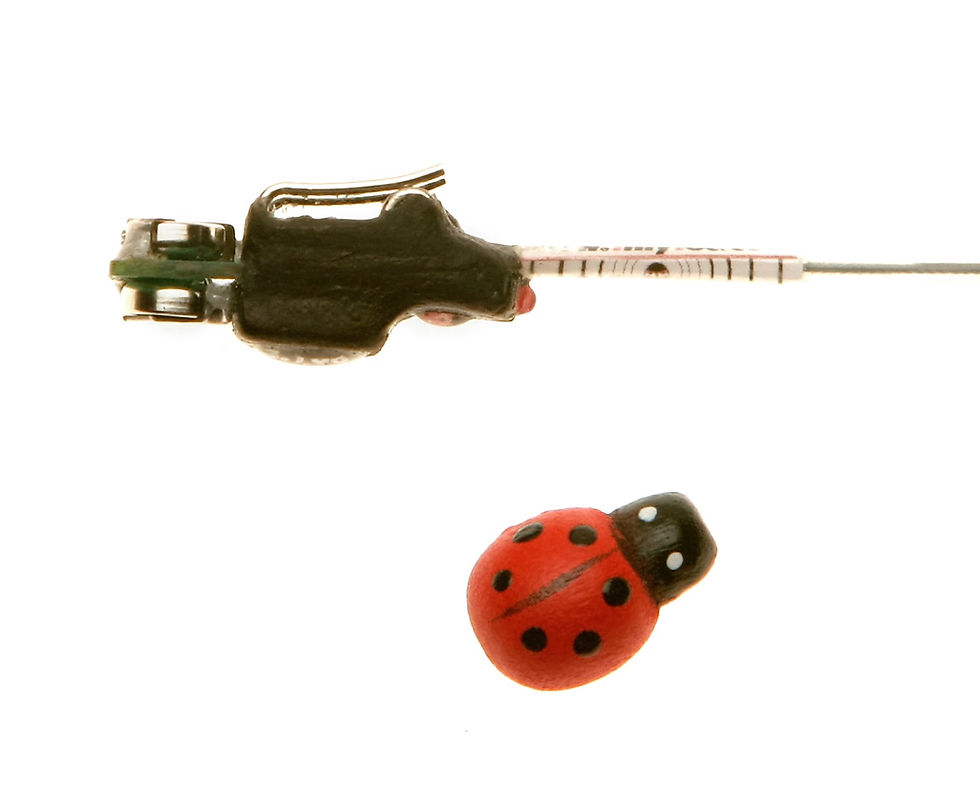 Thumbnail: Kest Micro Transmitter