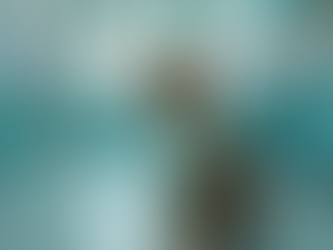 Pengeluaran Kos dan Rawatan Kucing yang Mengalami Batu Karang