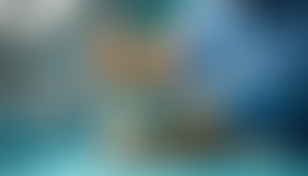 Kos Merawat Batu Karang Kucing di Malaysia Panduan Lengkap untuk Catparents