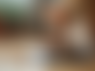 Soalan Penting Untuk Ditanyakan Kepada Vet Mengenai Batu Karang Kucing