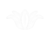 Xunopia%20(Flower)_edited.png