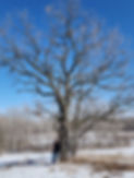 20230402_162212.jpg