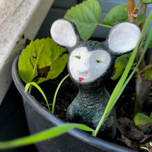 The Mouse has NO NAME