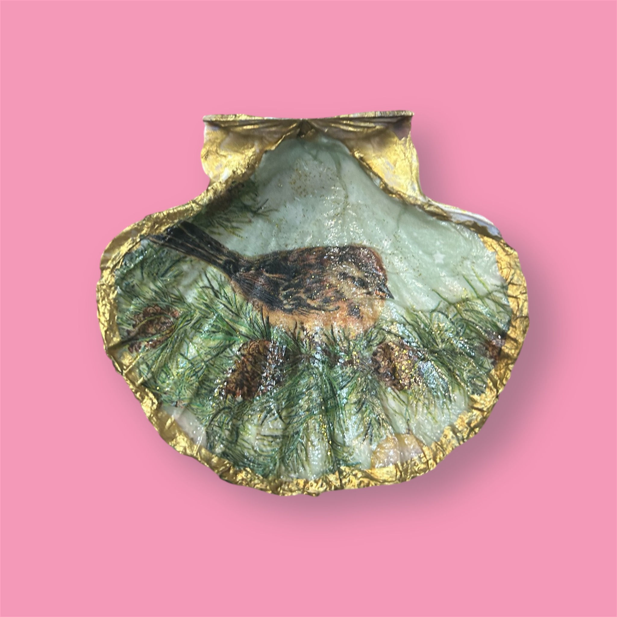 Coquille Saint  Jacques 