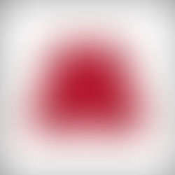 【スネオヘアー】大阪8月5thAL「スカート」公演の特別先行優先予約受付開始！